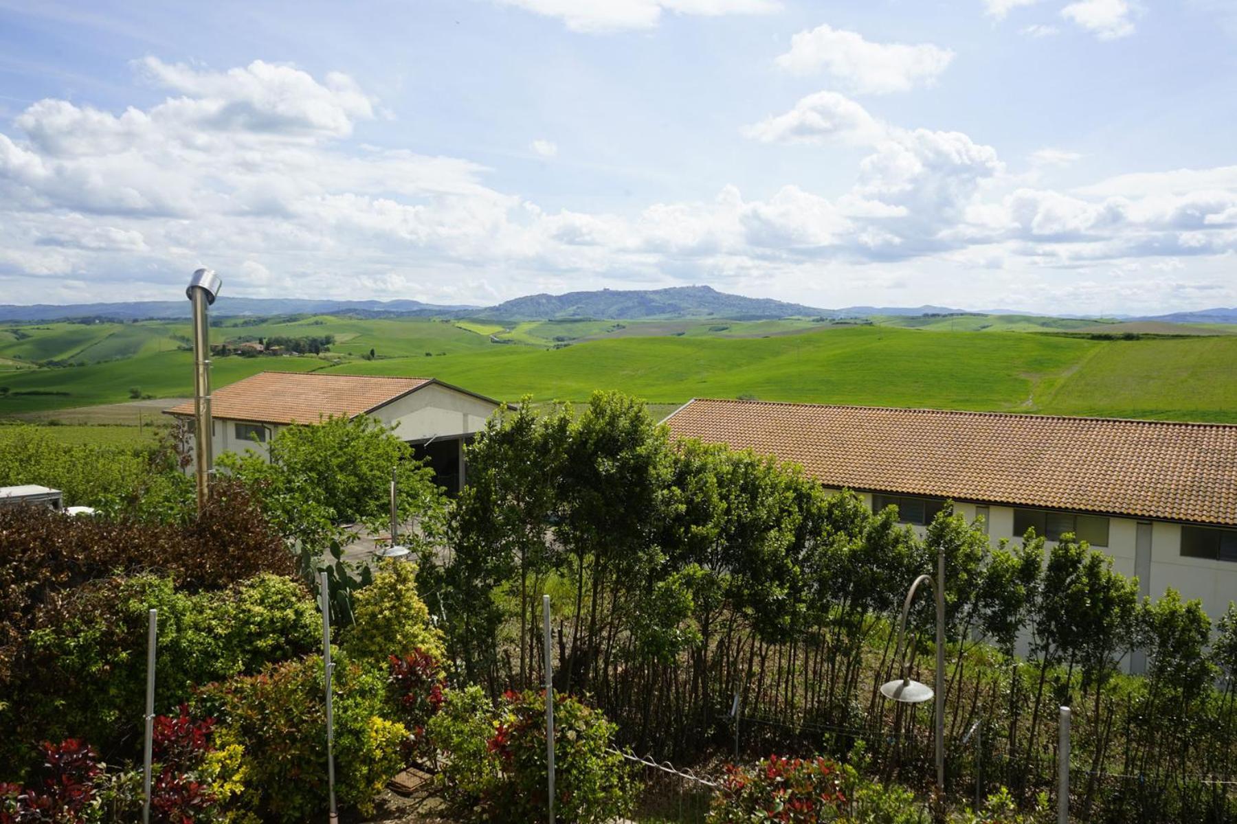 Agriturismo Signorini Orciatico エクステリア 写真