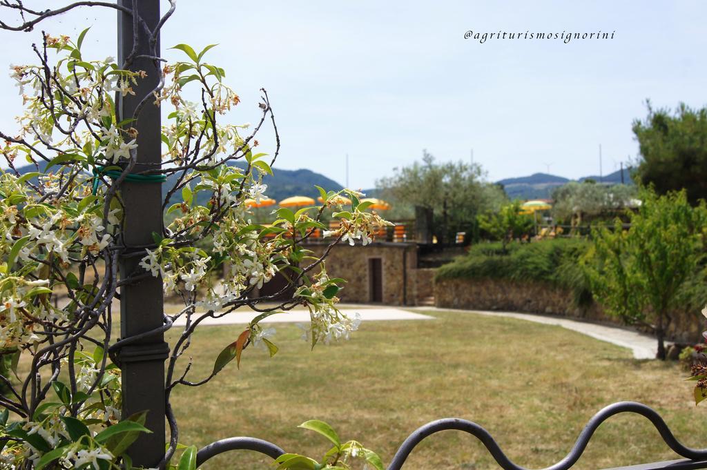 Agriturismo Signorini Orciatico エクステリア 写真