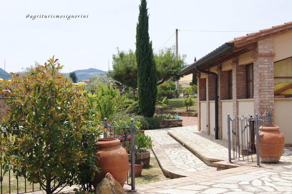 Agriturismo Signorini Orciatico エクステリア 写真