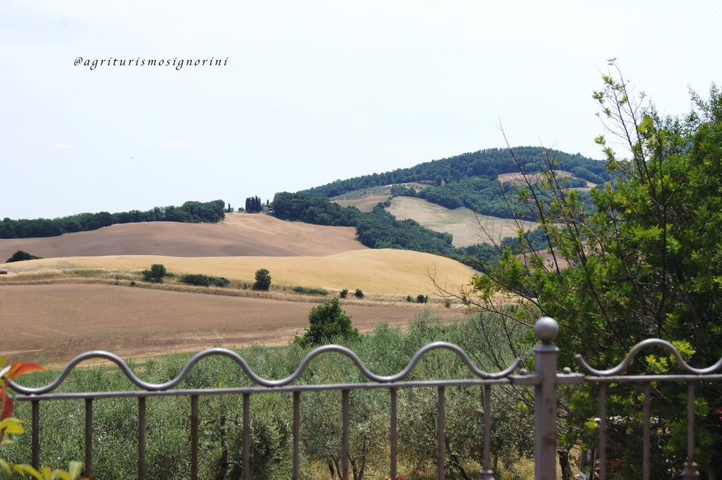 Agriturismo Signorini Orciatico エクステリア 写真