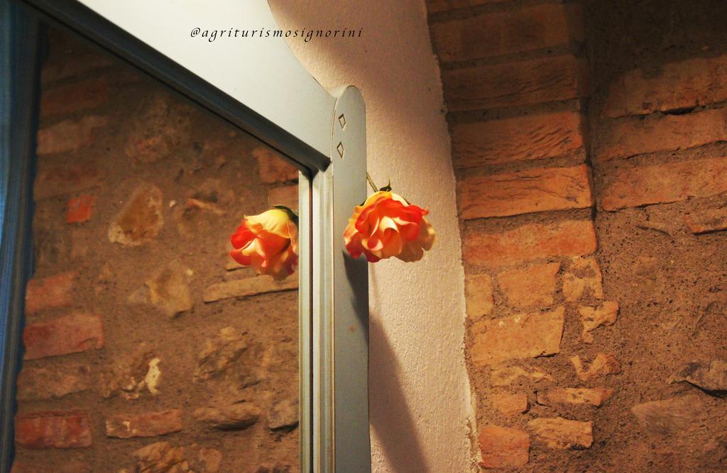 Agriturismo Signorini Orciatico エクステリア 写真