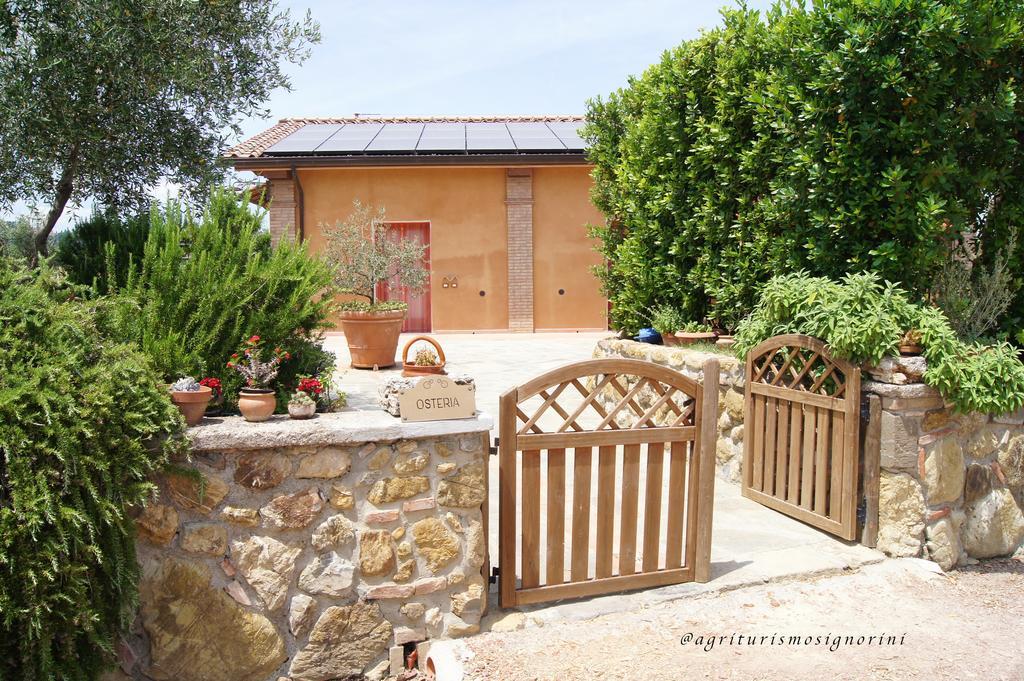 Agriturismo Signorini Orciatico エクステリア 写真