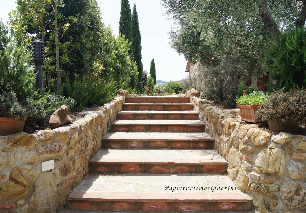 Agriturismo Signorini Orciatico エクステリア 写真