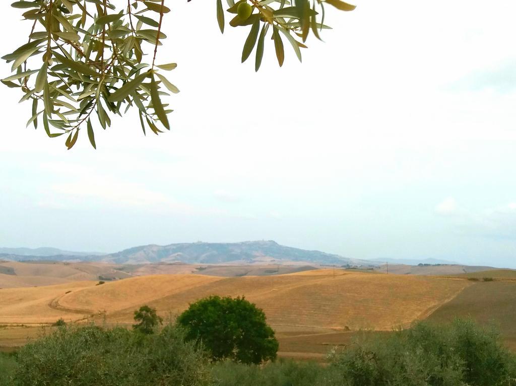 Agriturismo Signorini Orciatico エクステリア 写真